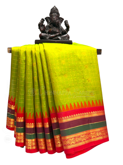 Gap Border Checks Parrot Green Pure Silk Saree