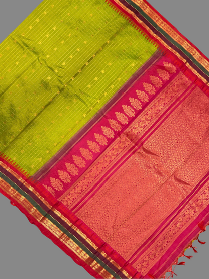 Gap Border Checks Parrot Green Pure Silk Saree