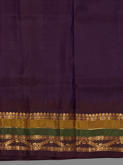 Gap Border Checks Ivory Gold Pure Silk Saree