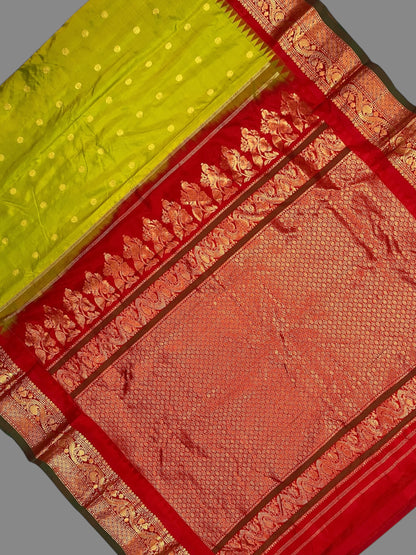 Shilpi Border Parrot Green Pure Silk Saree