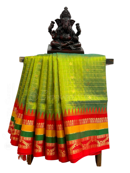 Gap Border Checks Light Sea Green Pure Silk Saree