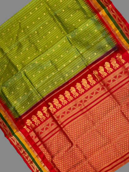 Gap Border Checks Light Sea Green Pure Silk Saree