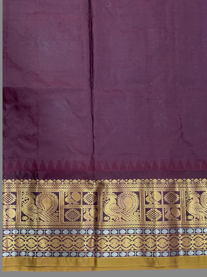 Gadwal Peacock Border Light Blue Silk Saree