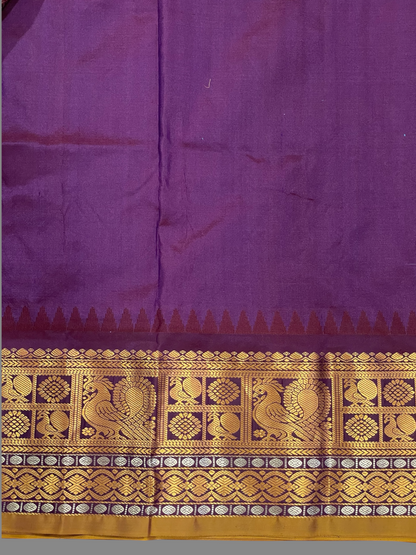 Gadwal Peacock Border Sky Blue Silk Saree